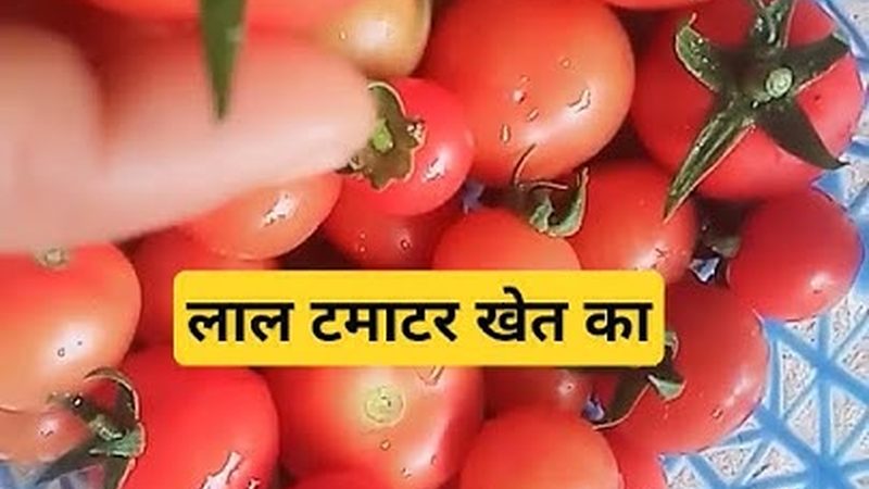 老年人体检贵宾套餐：揭秘费用背后的价值